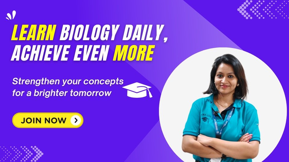 Scholartude JEE 2025 – Ultimate Prep Series