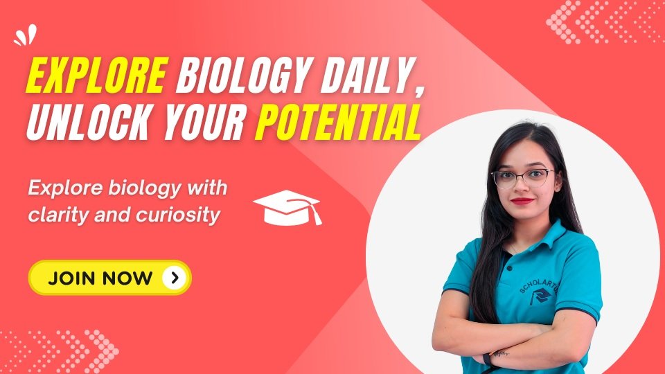 Scholartude JEE 2025 – Ultimate Prep Series