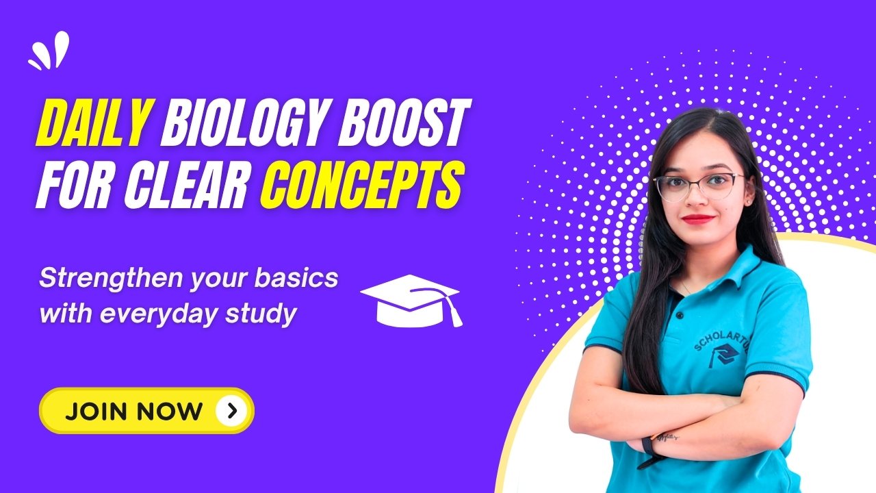Scholartude JEE 2025 – Ultimate Prep Series
