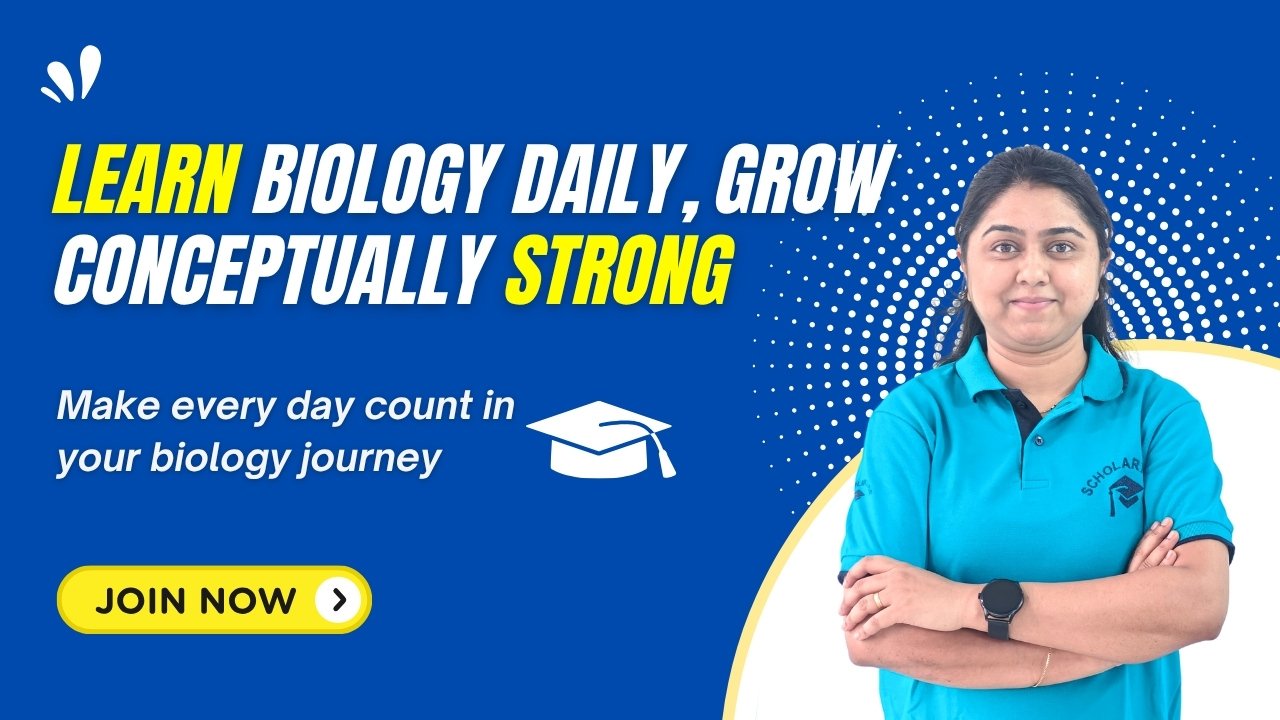 Scholartude JEE 2025 – Ultimate Prep Series